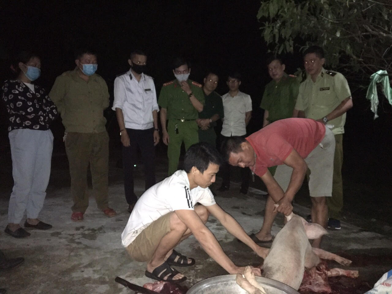 UBND xã Nghĩa Thuận phối hợp với các cơ quan, lực lượng chức năng huyện bắt giữ xe vận chuyển 32 con lợn trái phép qua địa bàn xã Nghĩa Thuận