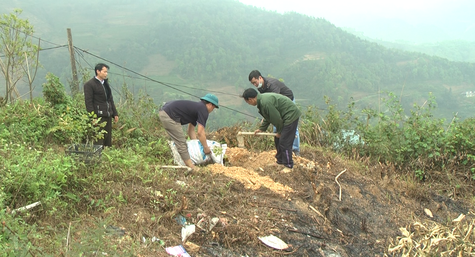 Xã Nghĩa Thuận tập trung triển khai thực hiện tốt đề án cải tạo vườn tạp;